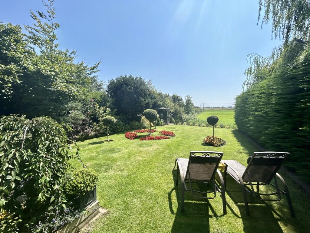 Garden 3