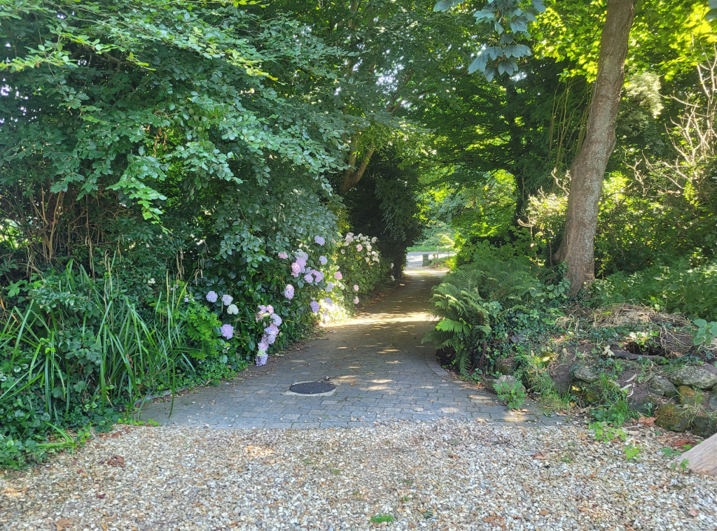 Driveway