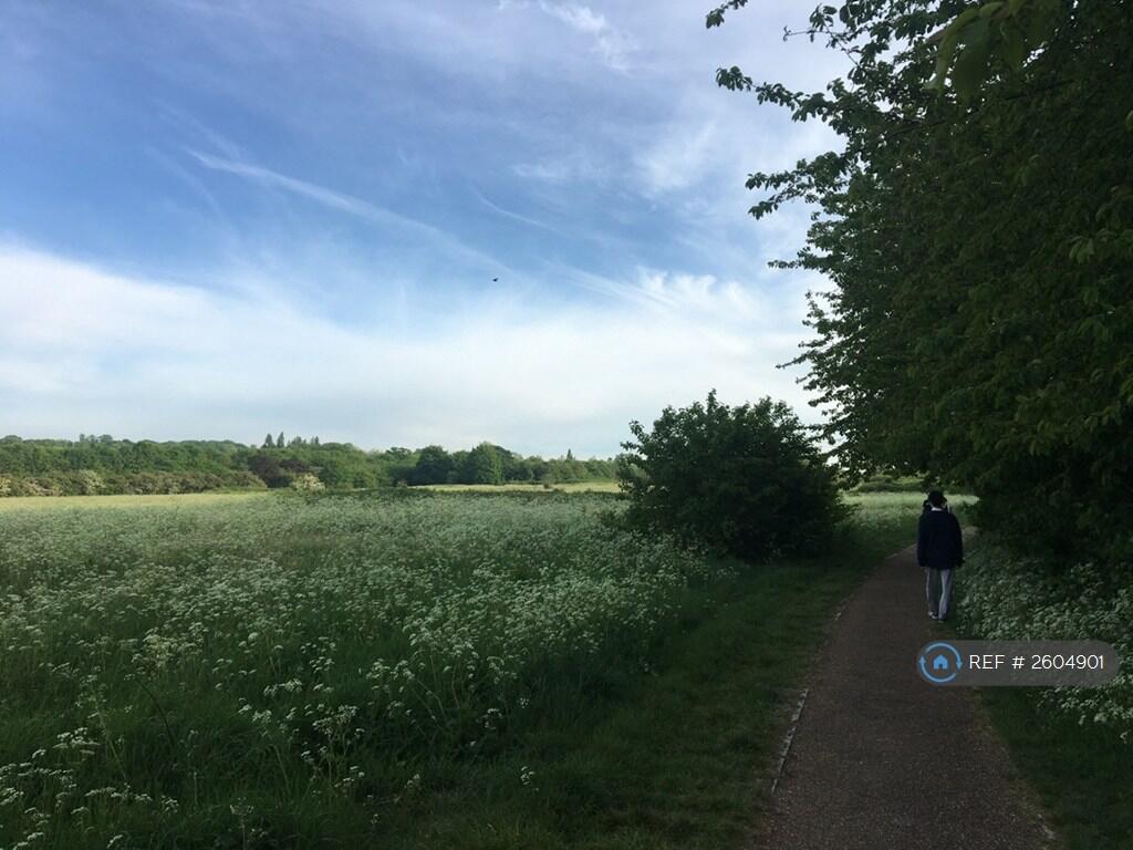 Woolwich Common