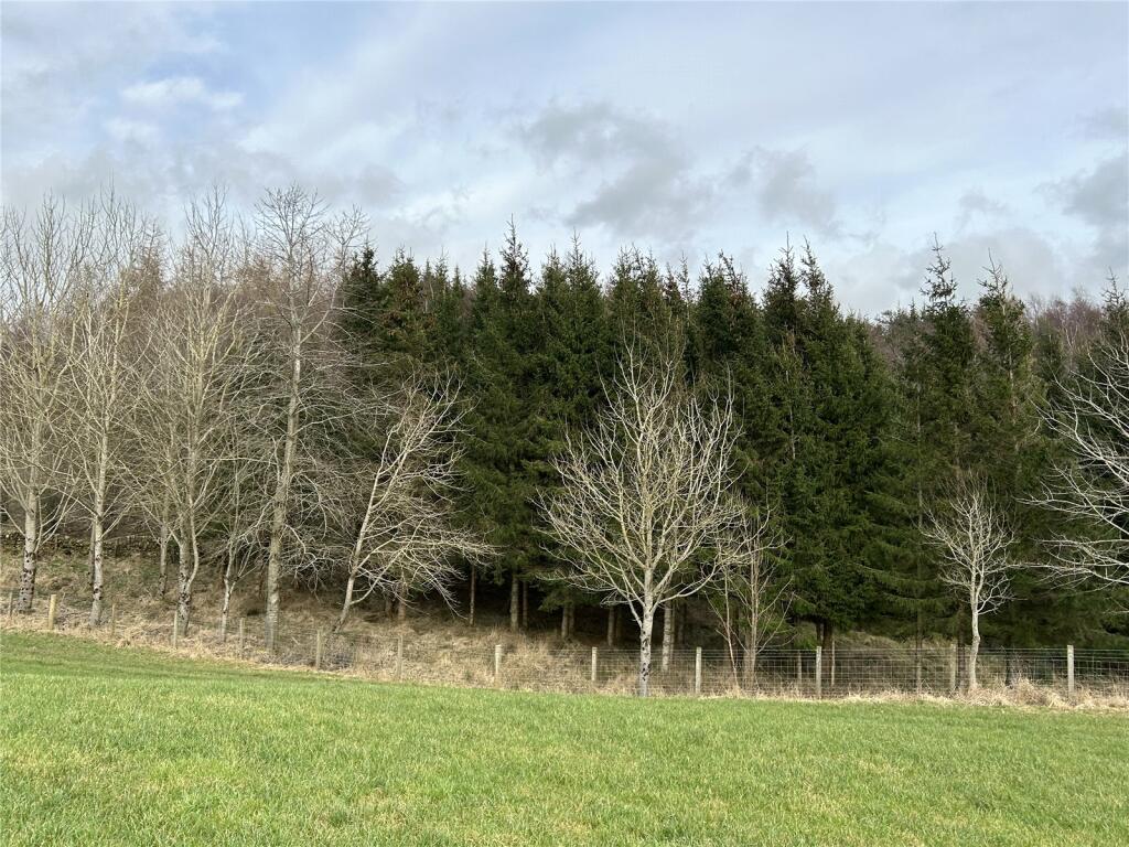 Woodland