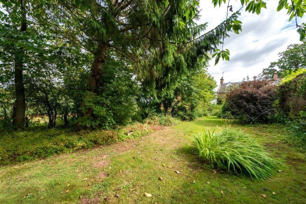Front Garden 1