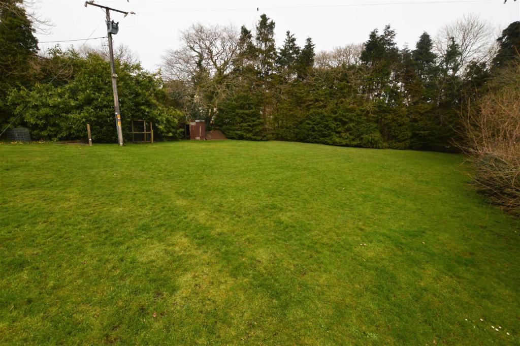 garden 4.jpg