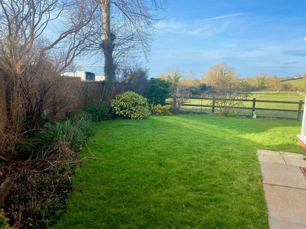 Side Garden