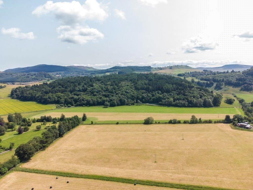 Land 10