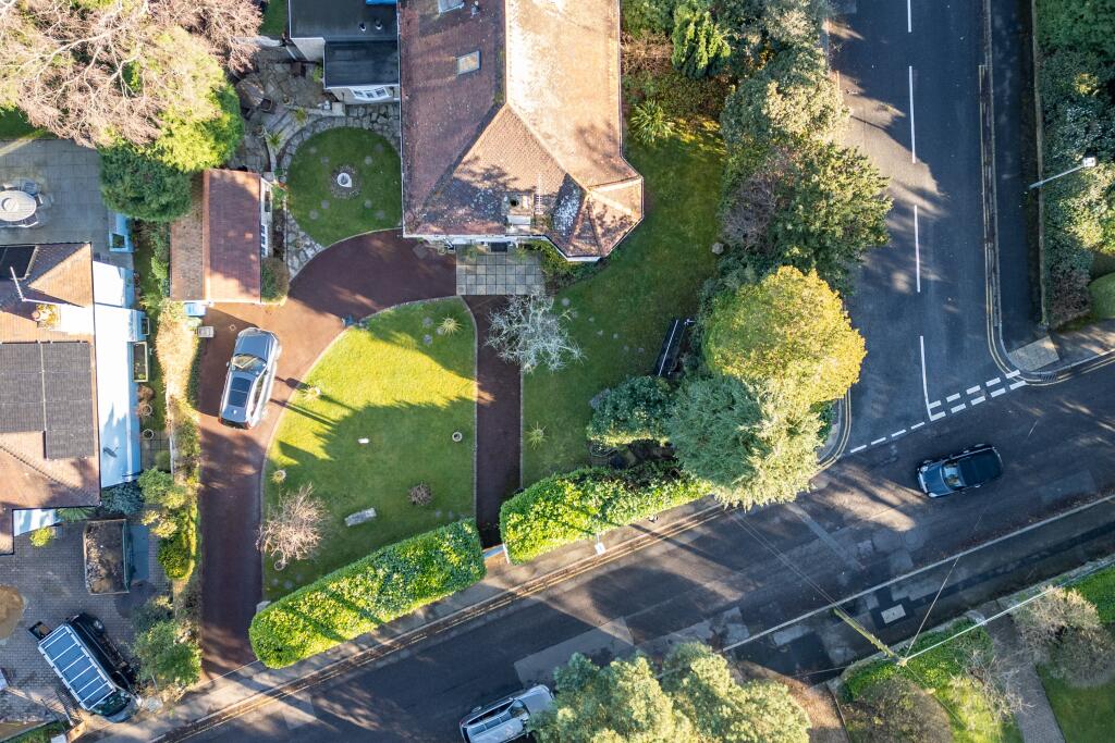 20250130-DJI_0416