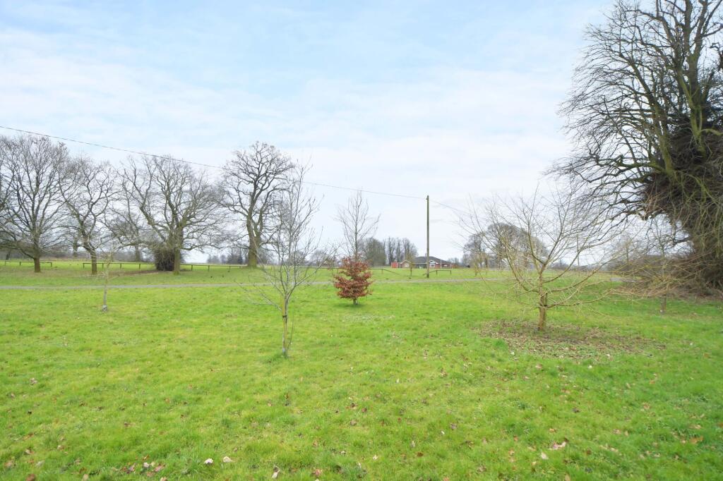 View from the rear garden