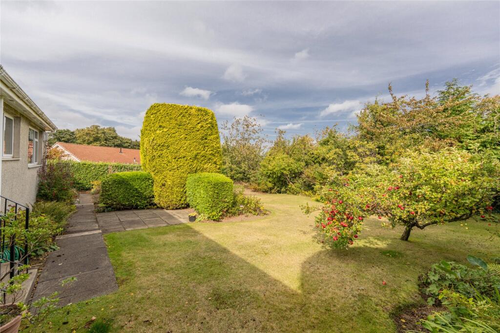 Rear Garden Alt