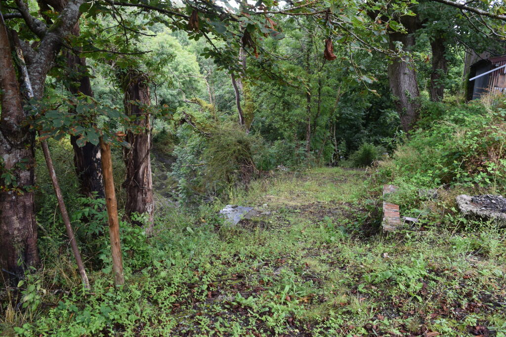 BANK BELOW THE MILL T202510031117.jpg