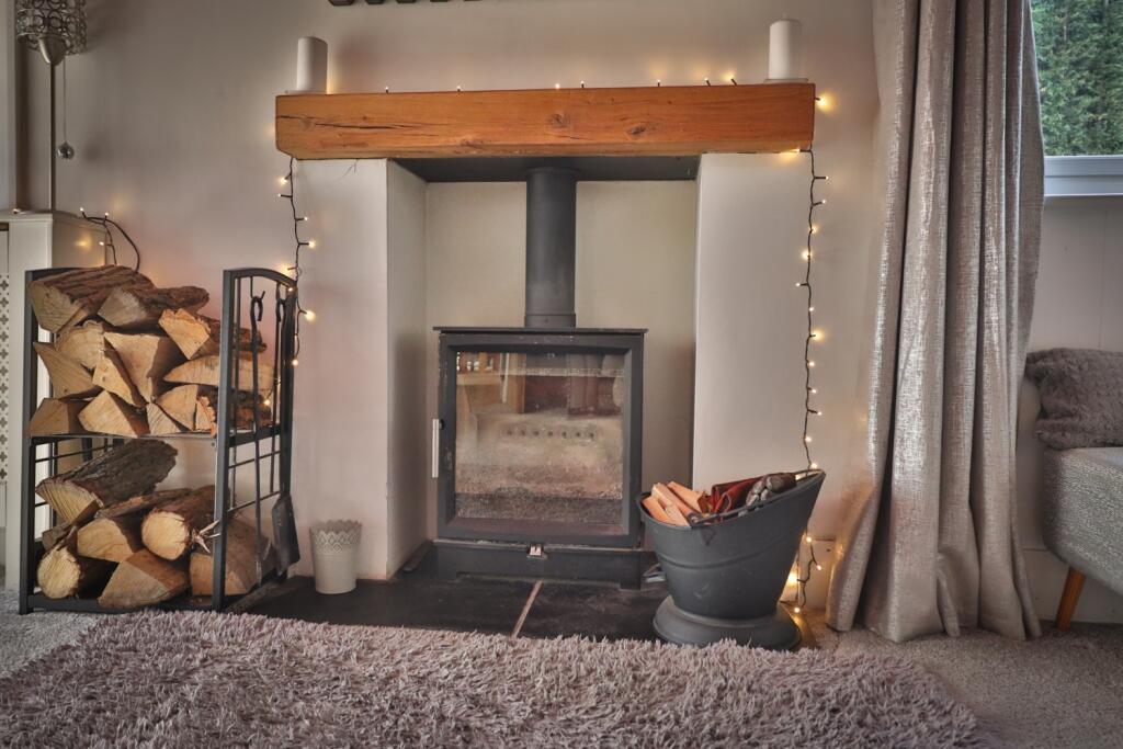 Log Burner
