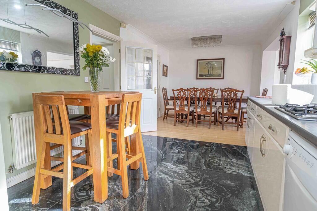 20250224-DSC03014...