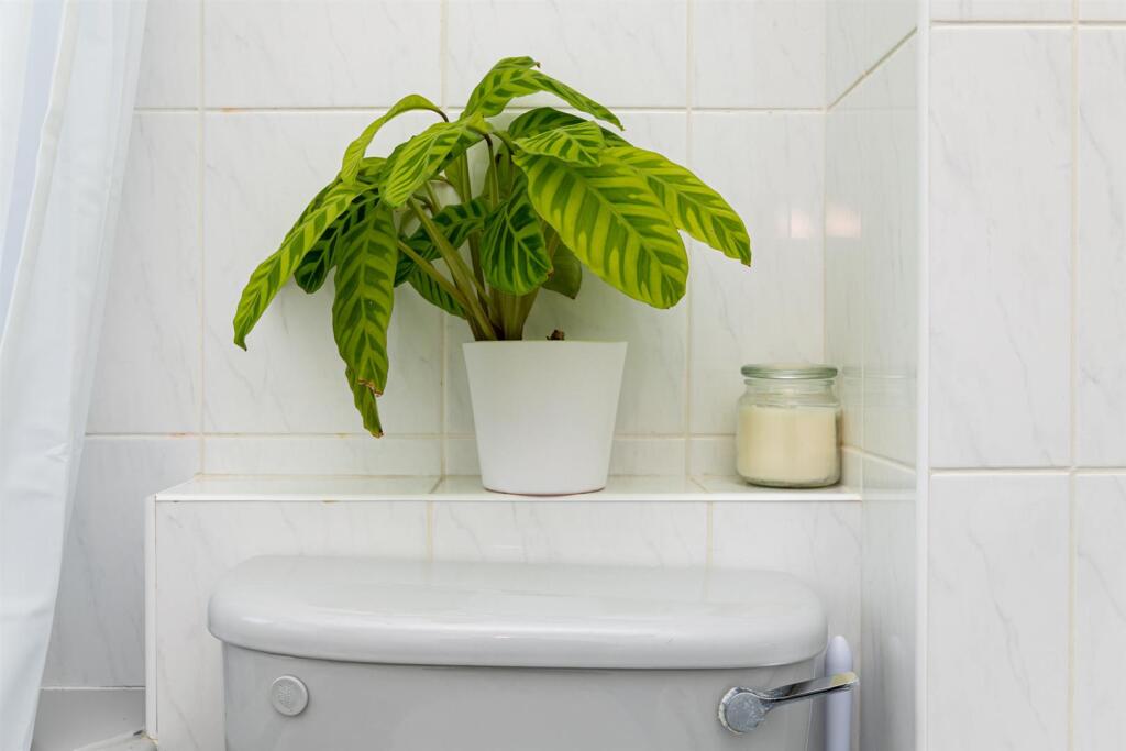 bath-2.jpg