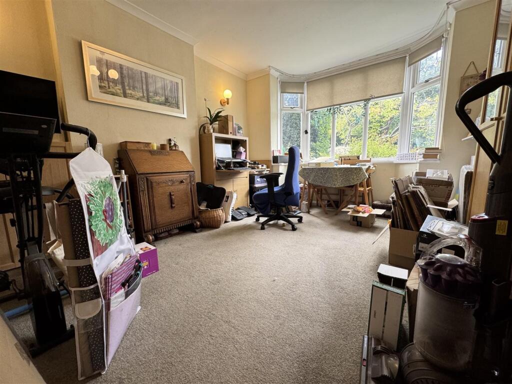 IMG_9440 (Large).JPG