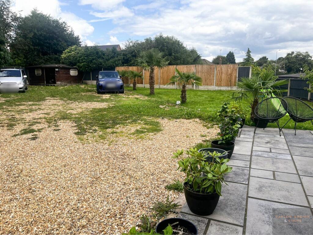 garden.jpeg