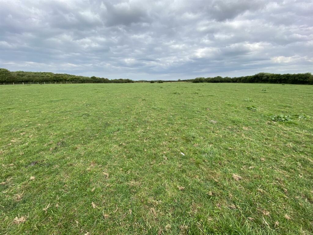 1..JPEG