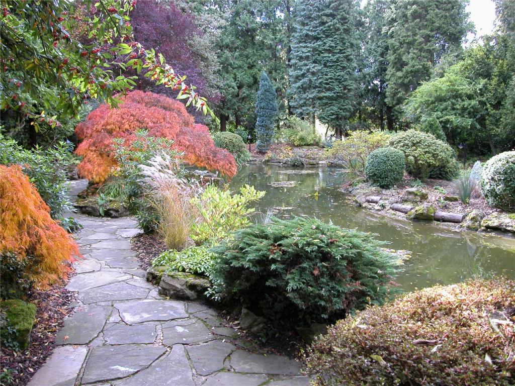Water Garden