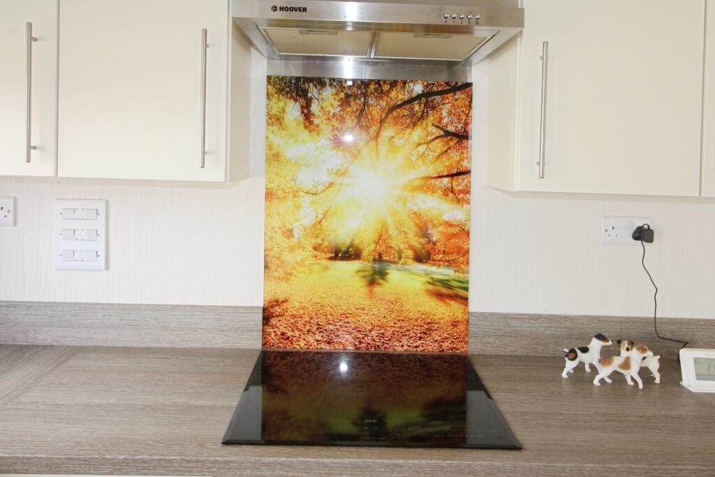 Feture Splash Back.JPG