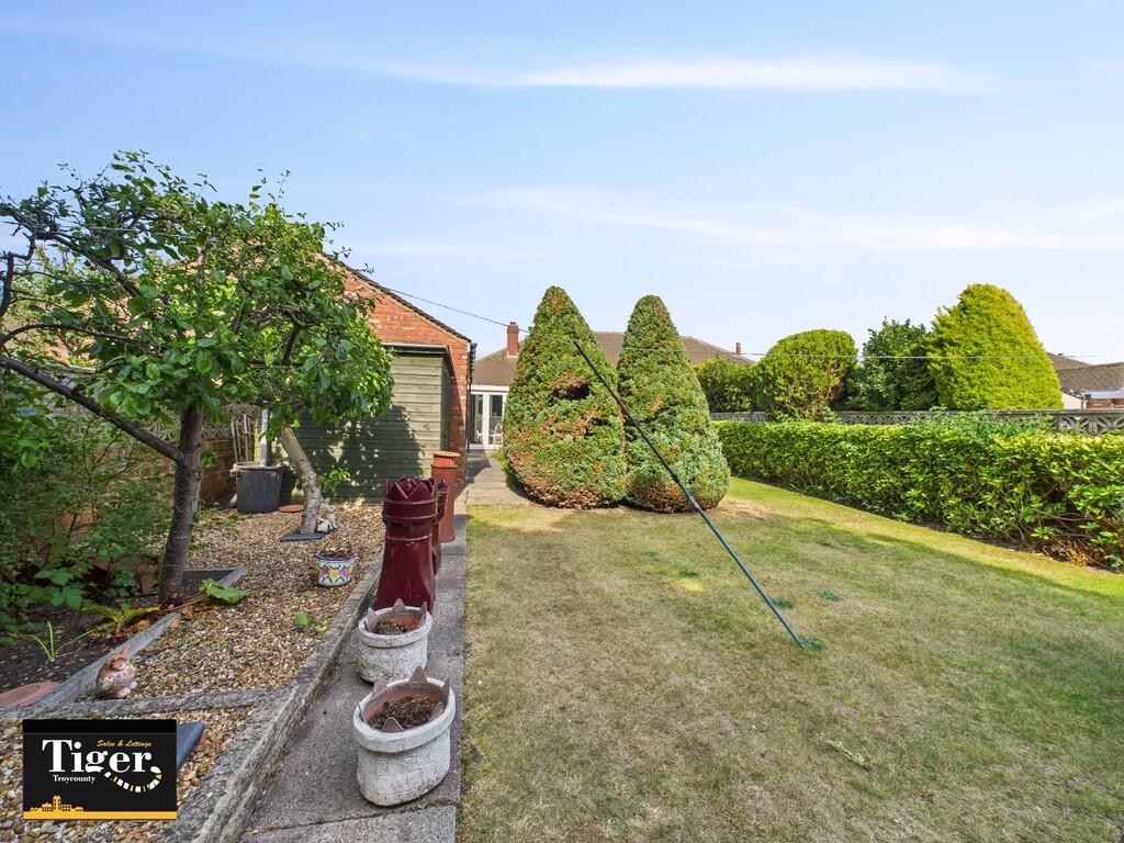 CAM02176G0-PR0585...