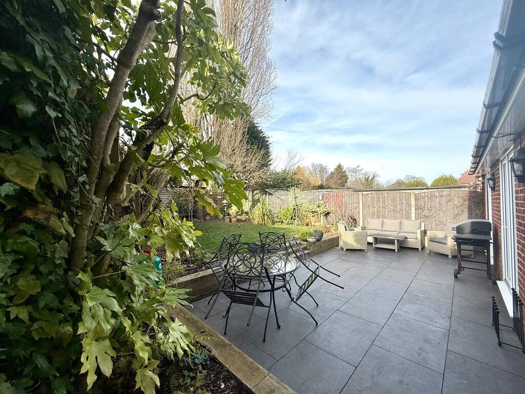 WhatsApp Image 20...