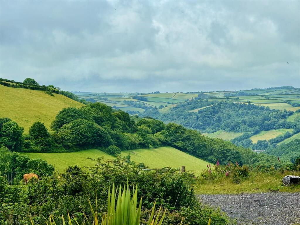 Views Towards River Dart Valley.jpg