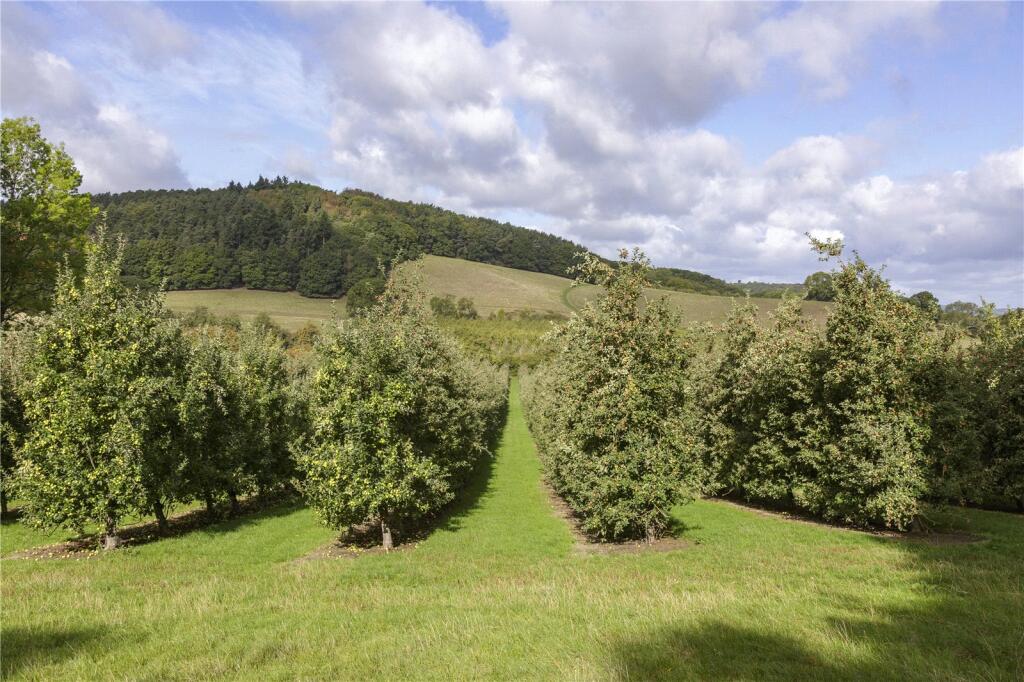 Orchards