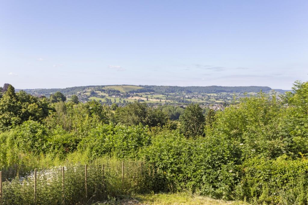 2 Star Green Cott...