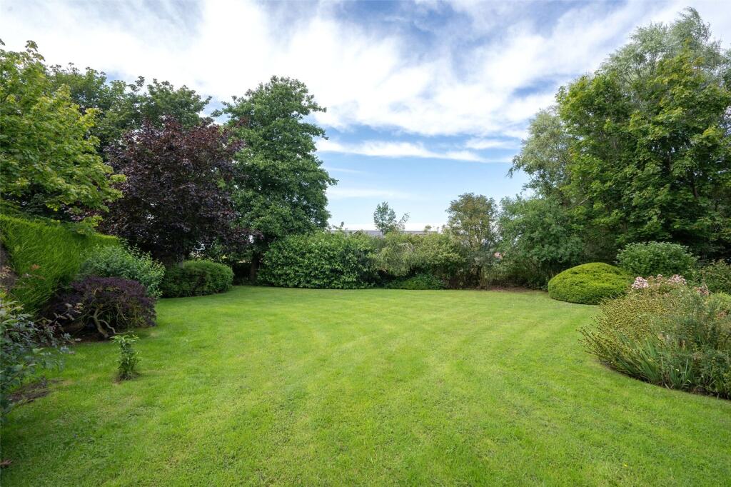Grounds