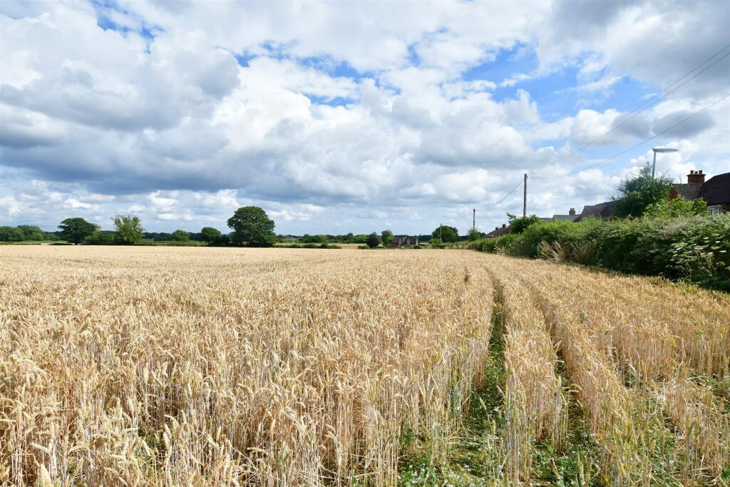 Surrounding Area (Original)