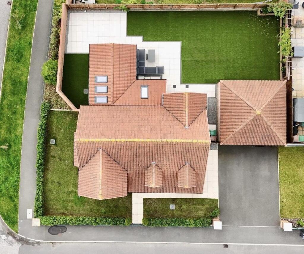 Plot View