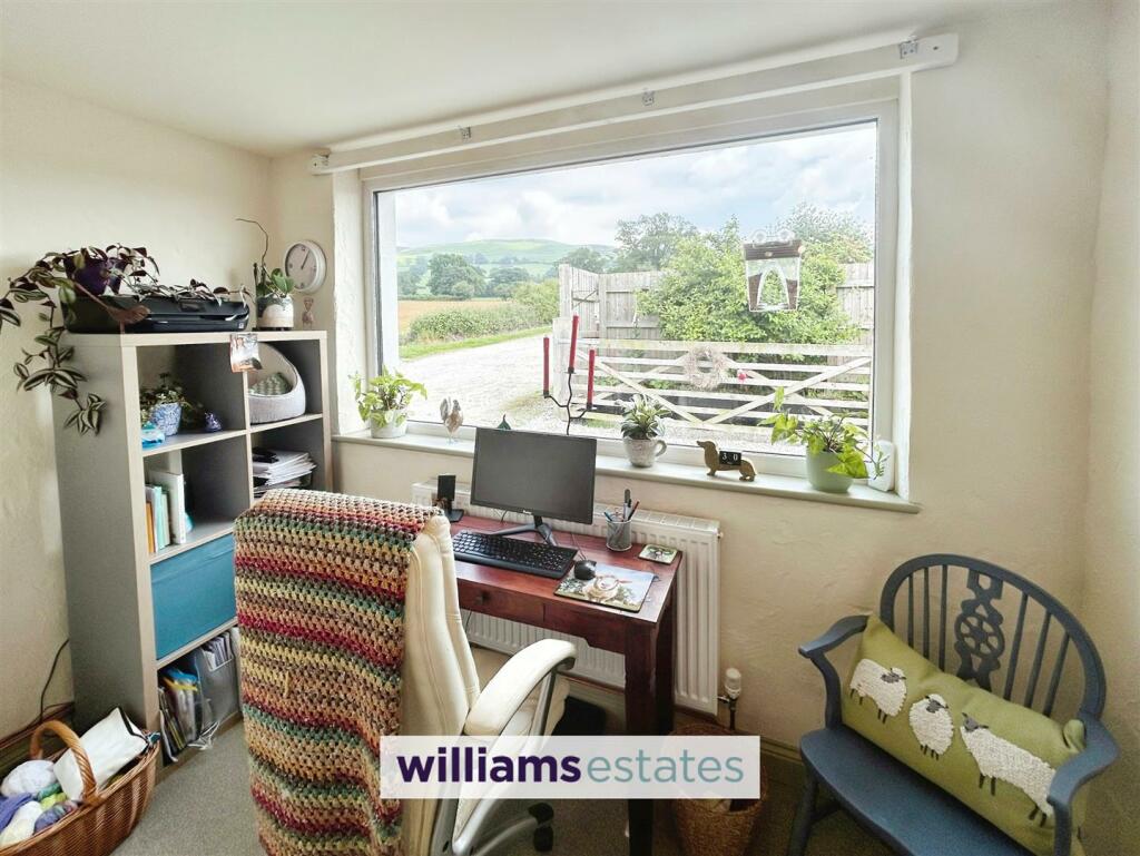 Study Area