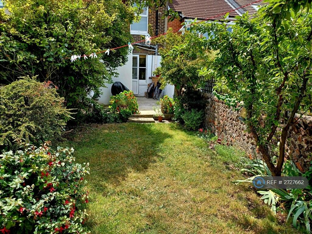 Garden In Summer 2023