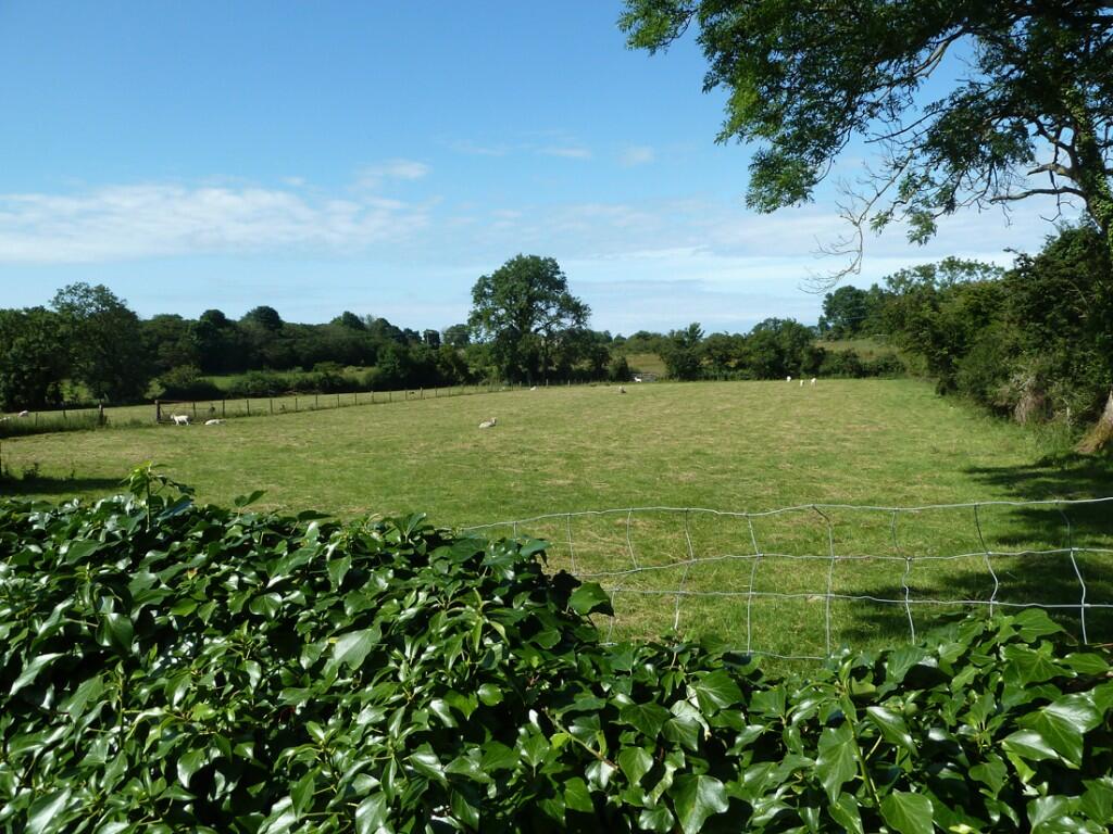 Fields to the rear