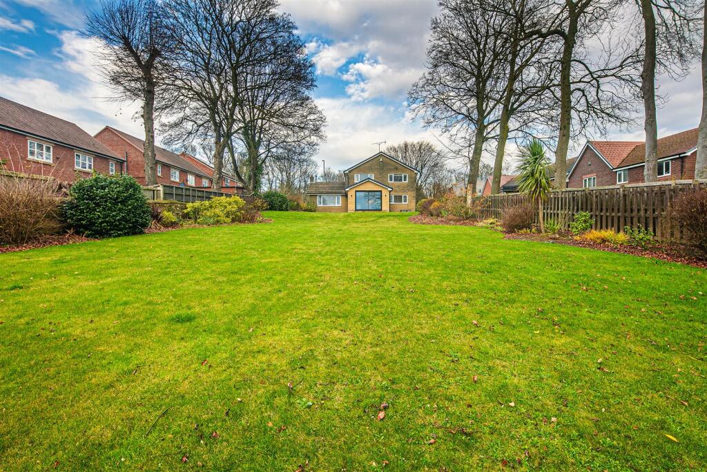 Rear of Property
