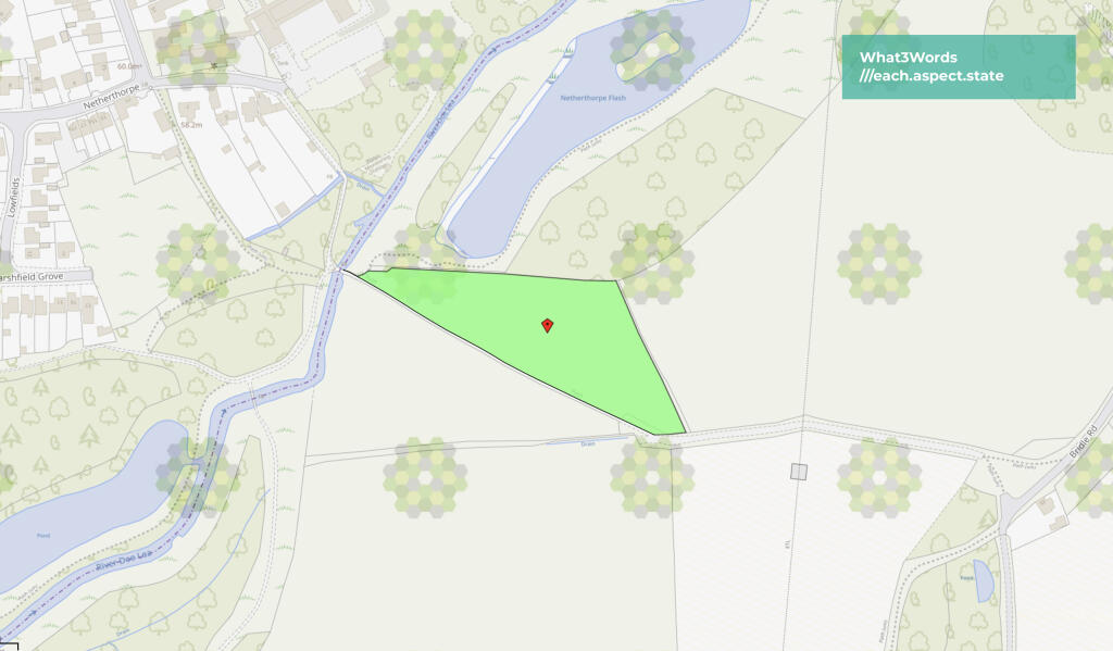 Bridle Road Green 1