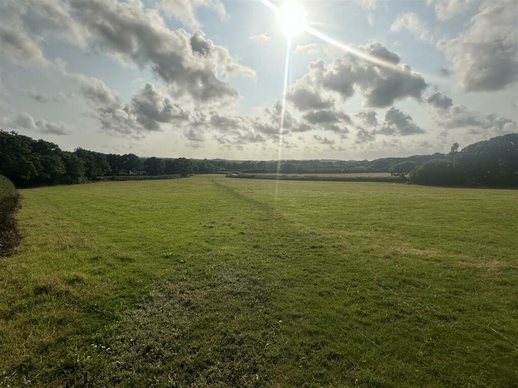 IMG_0305.jpeg