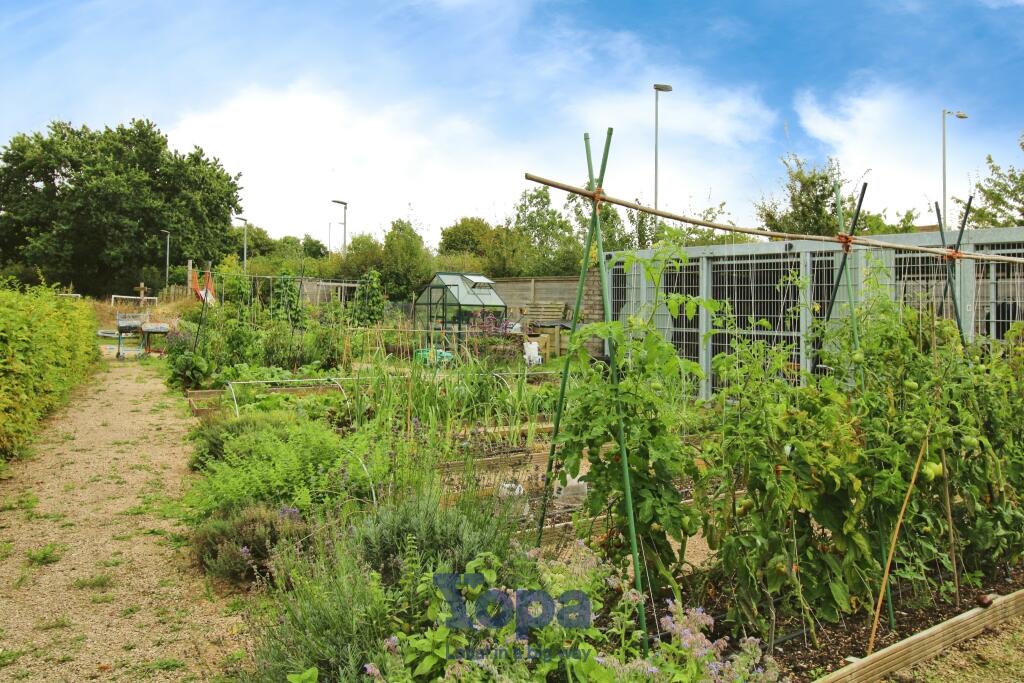 Community Kitchen Garden