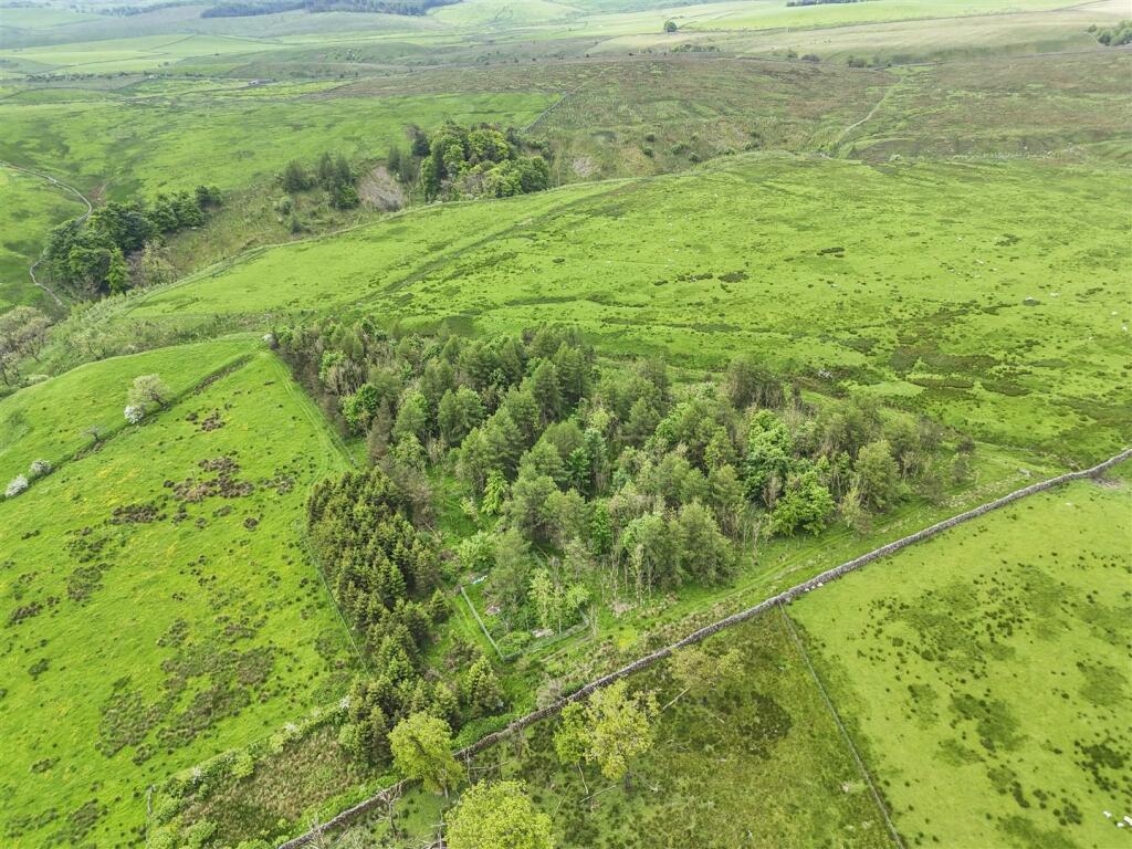 Land at Dykelands Lot 2_0032.jpg