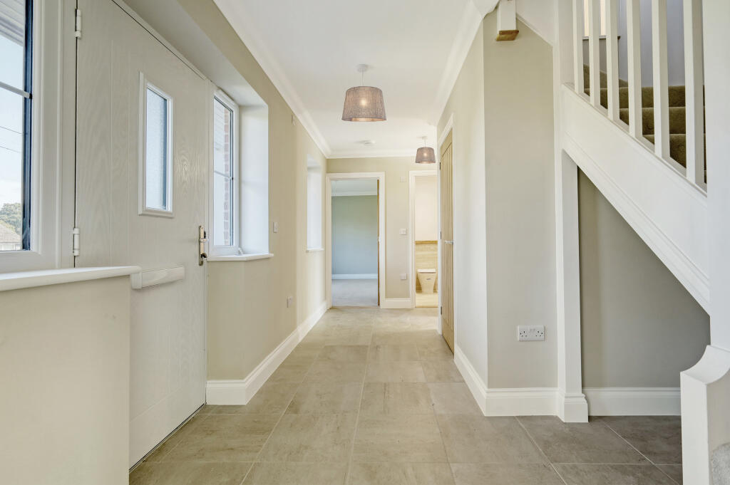 IMG_0072_15 copy 2 (1)