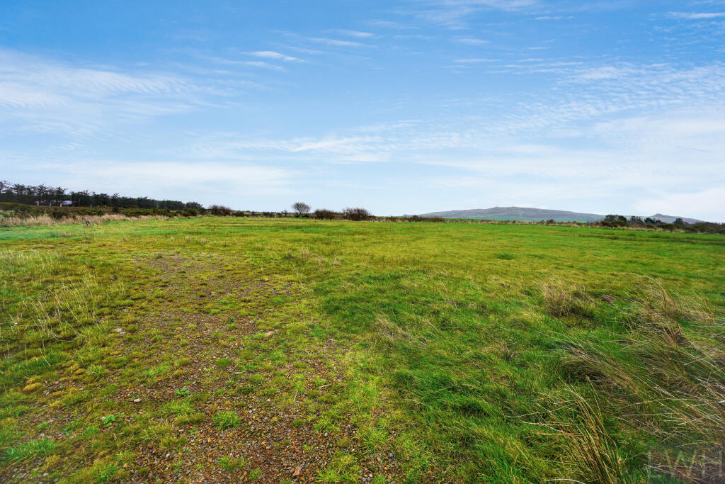 Field
