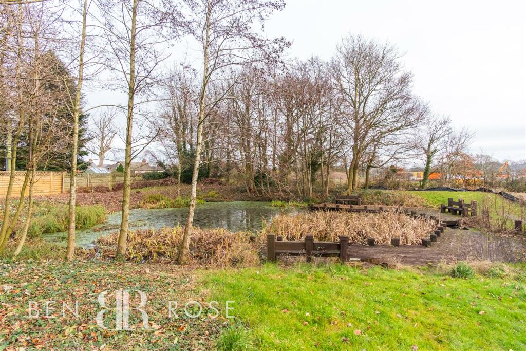 Communal Pond