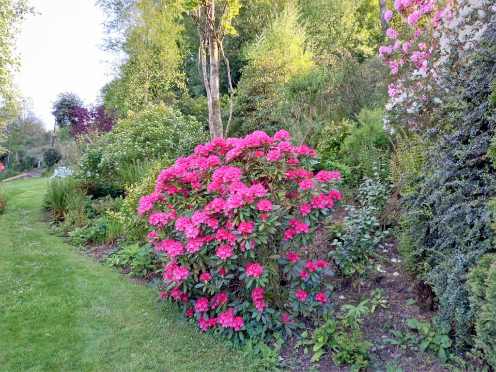 Waterrow Seddons