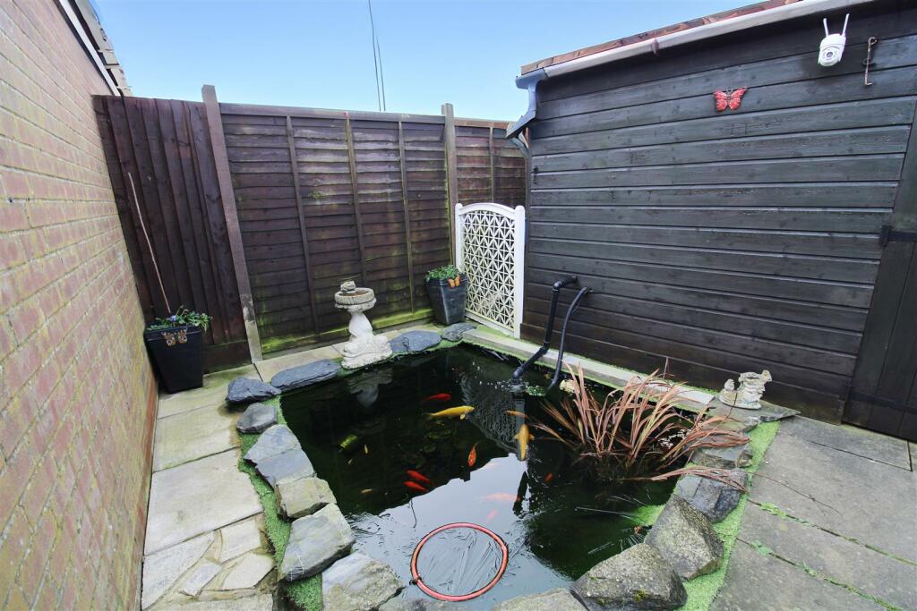 Pond