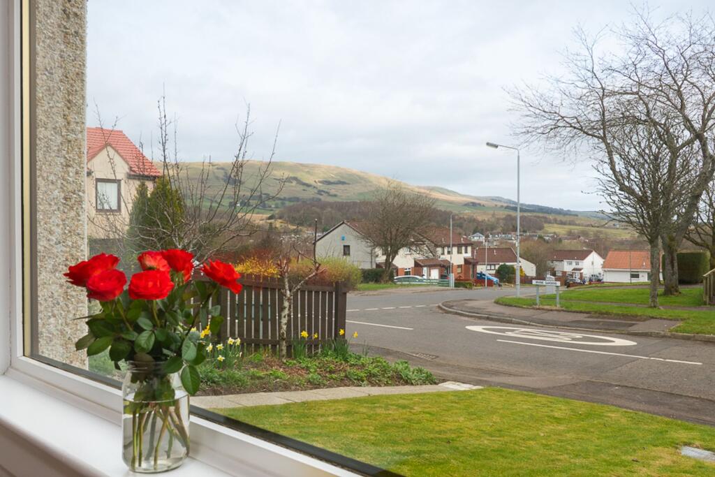 Campsie Hill views