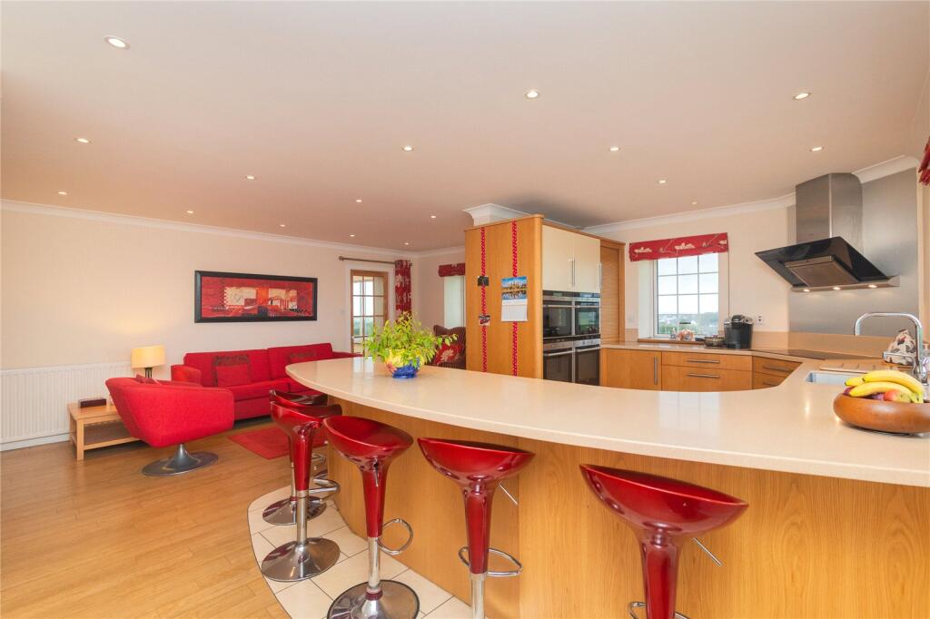 Living/Kitchen Area
