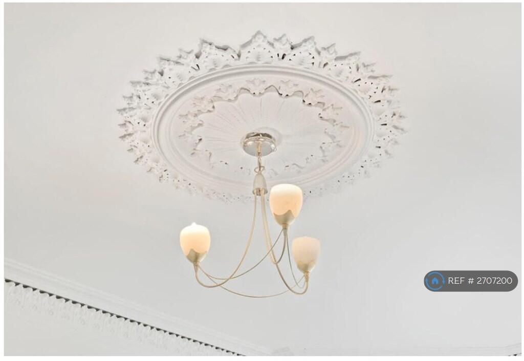 4th Bedroom - Cieling Rose