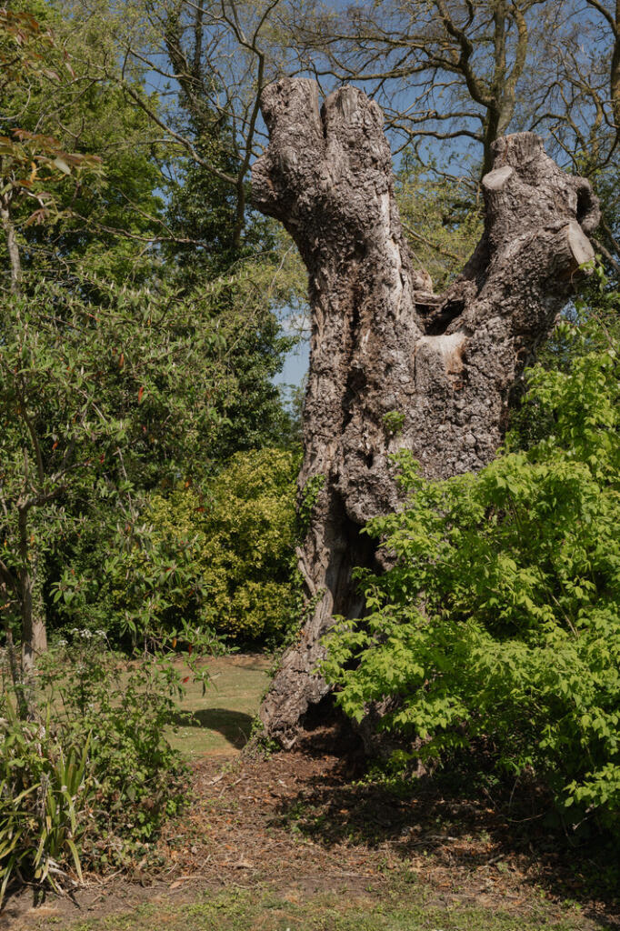 280899 - Nine Elms, Ringshall (exteriors)-10-2.jpg