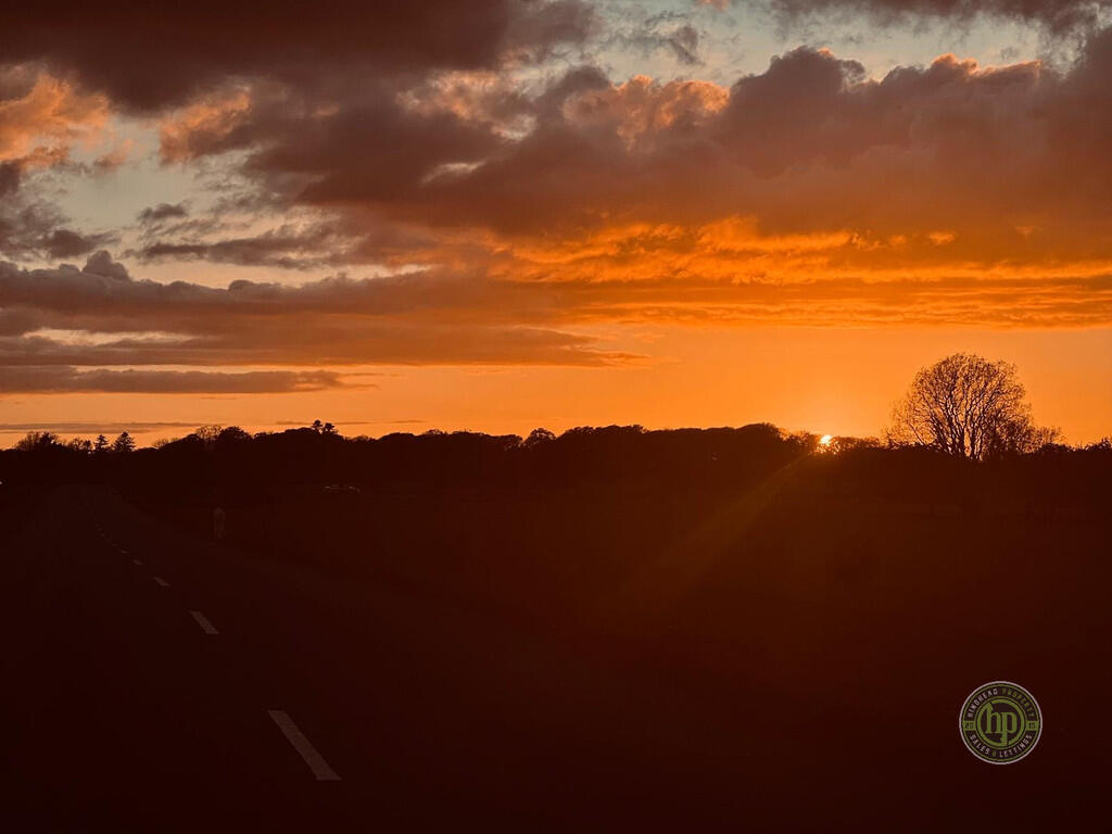 Dartmoor Dark Red...