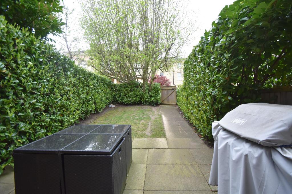 garden 1.JPG