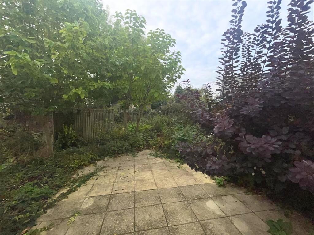 IMG_2568 - Edited - Edited.jpeg