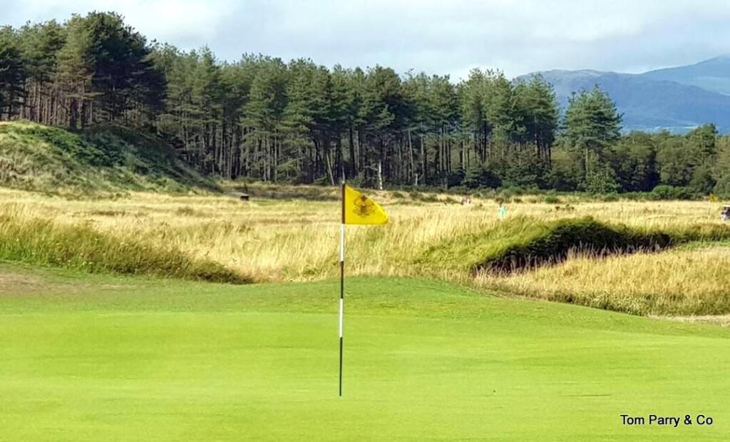 Royal St Davids golf course.jpg