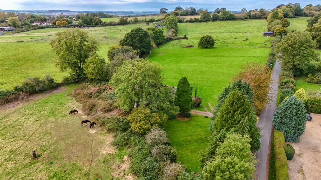 dji_fly_20241011_130612_0692_1728648497537_photo.J